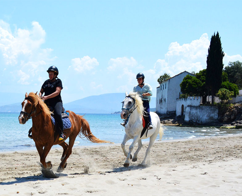 Corfu Horse Riding