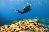 Corfu Diving